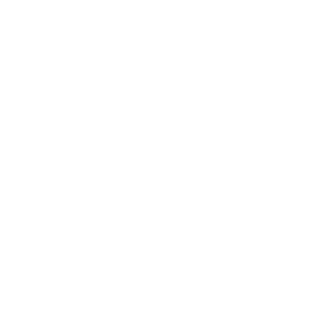 Wild Land Logo White