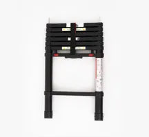 Wild Land Summit Explorer Roof Top Tent Ladder