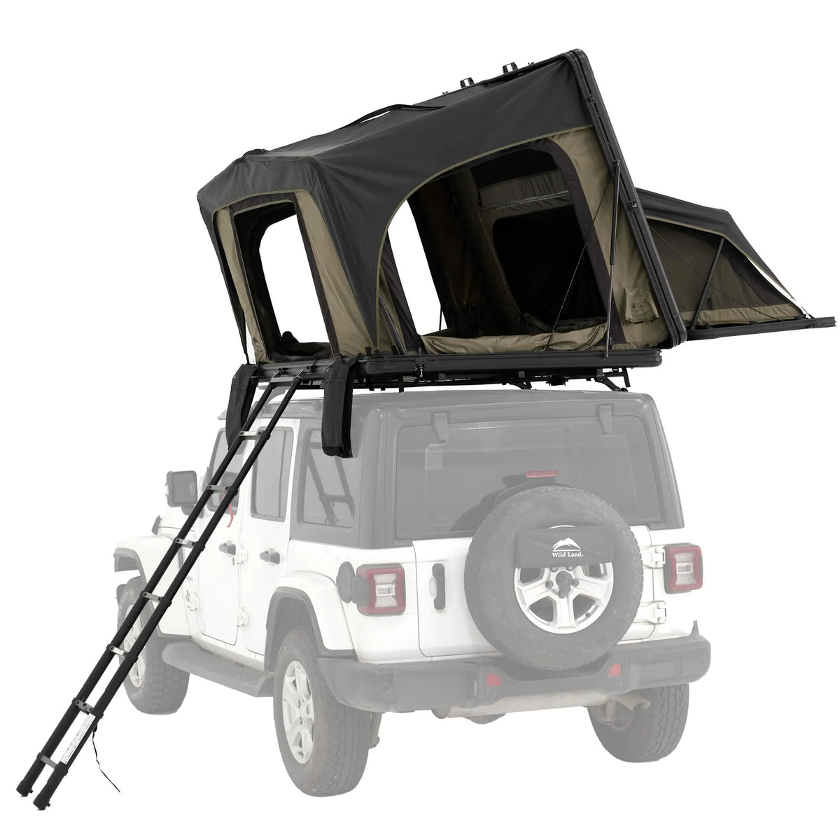 Wild Land Desert Cruiser Family