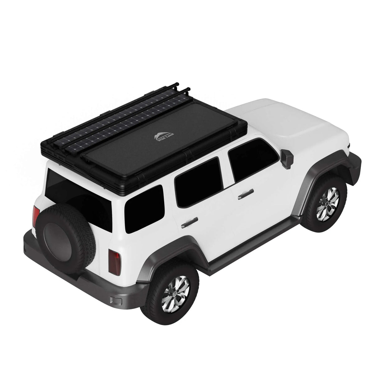 Wild Land Desert Cruiser Family